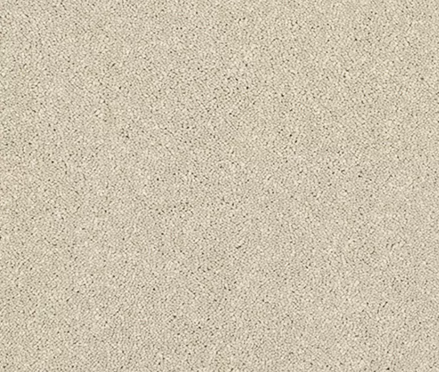Caress Carpet Range Cotton