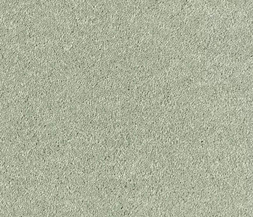 Olympus Carpet Range Fern