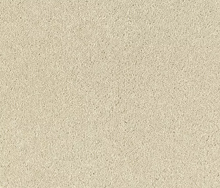 Olympus Carpet Range Lace