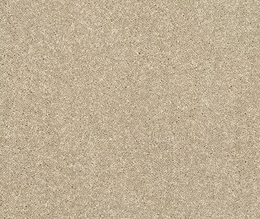 Caress Carpet Range Latte