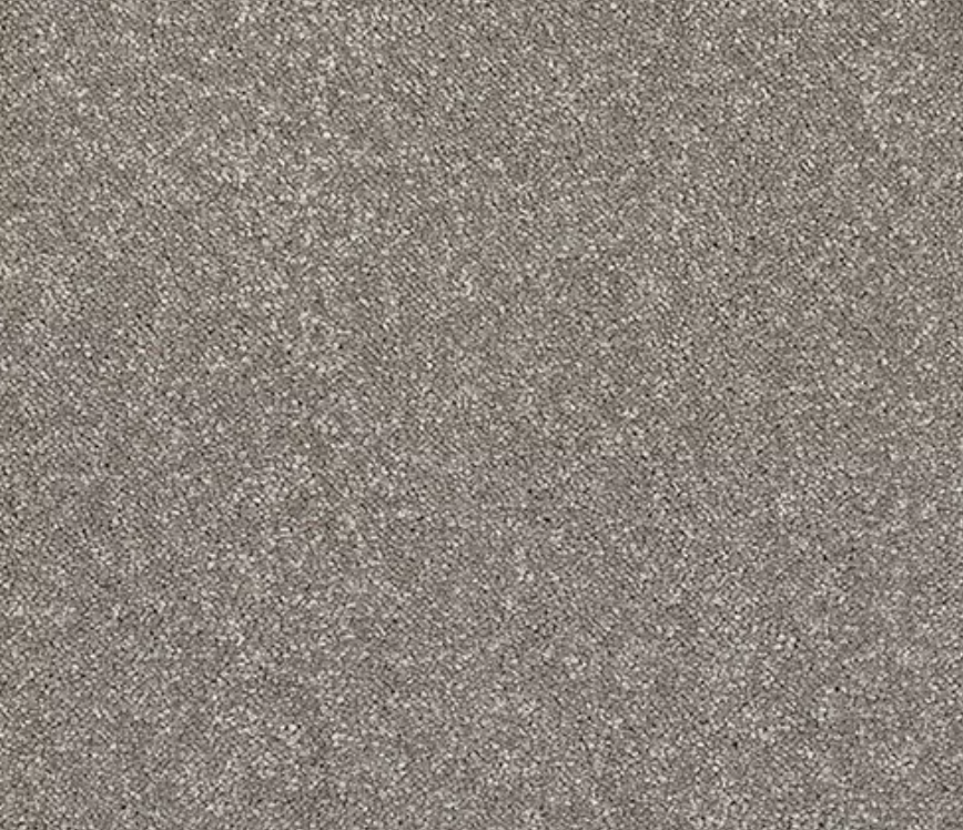 Caress Carpet Range Mocha