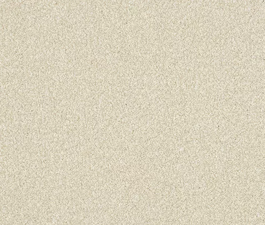 Ultra Carpet Range Powder
