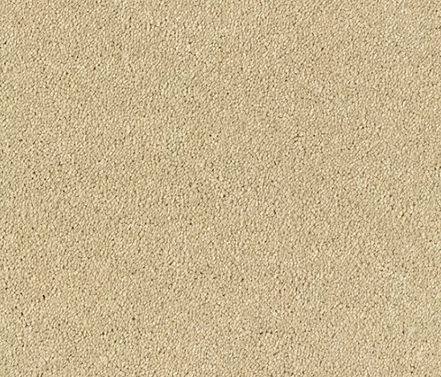 Olympus Carpet Range Sahara