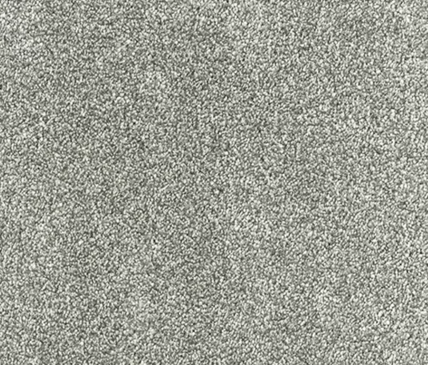 Olympus Carpet Range Titanium