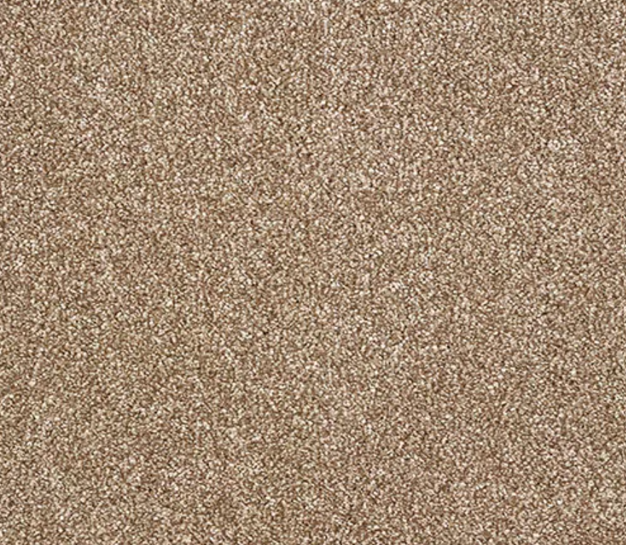 Panache Carpet Range Cappucino